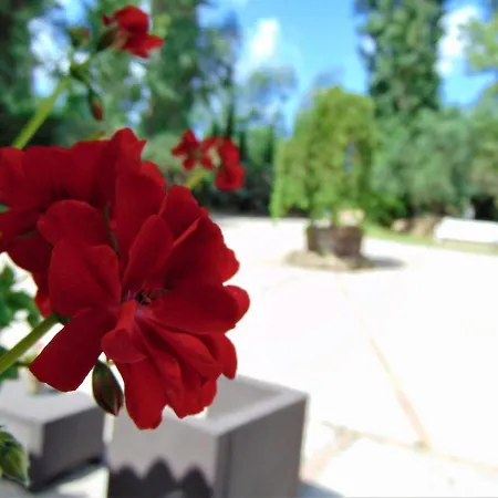 Casale Rurale Oda ve Kahvaltı San Marco Evangelista