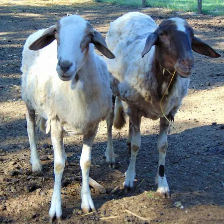 Casale Rurale San Marco Evangelista