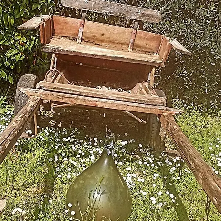 Oda ve Kahvaltı Casale Rurale