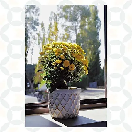 Bed & Breakfast Casale Rurale San Marco Evangelista