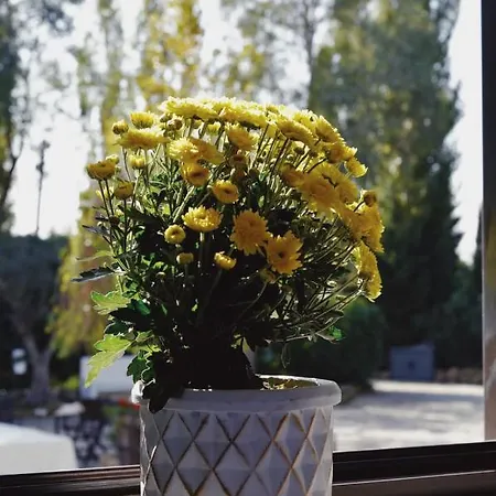 Oda ve Kahvaltı Casale Rurale